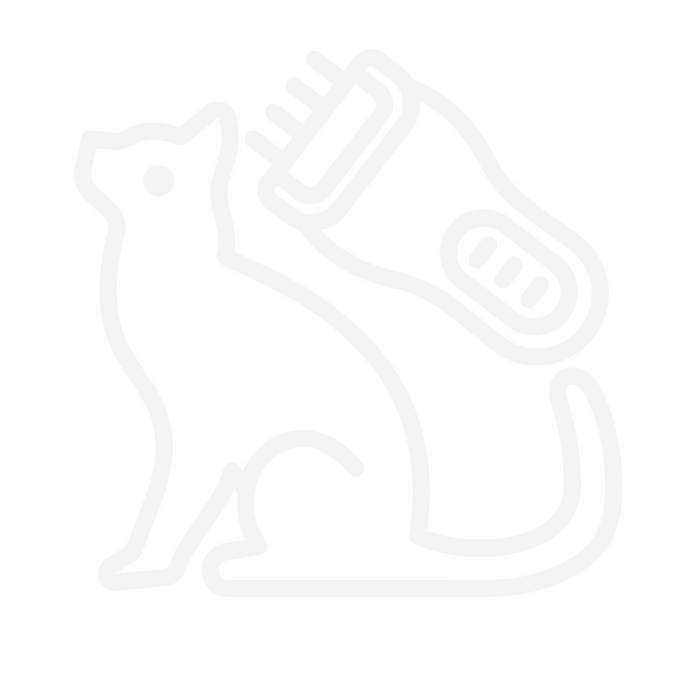 Antes y después del servicio de peluquería felina a domicilio