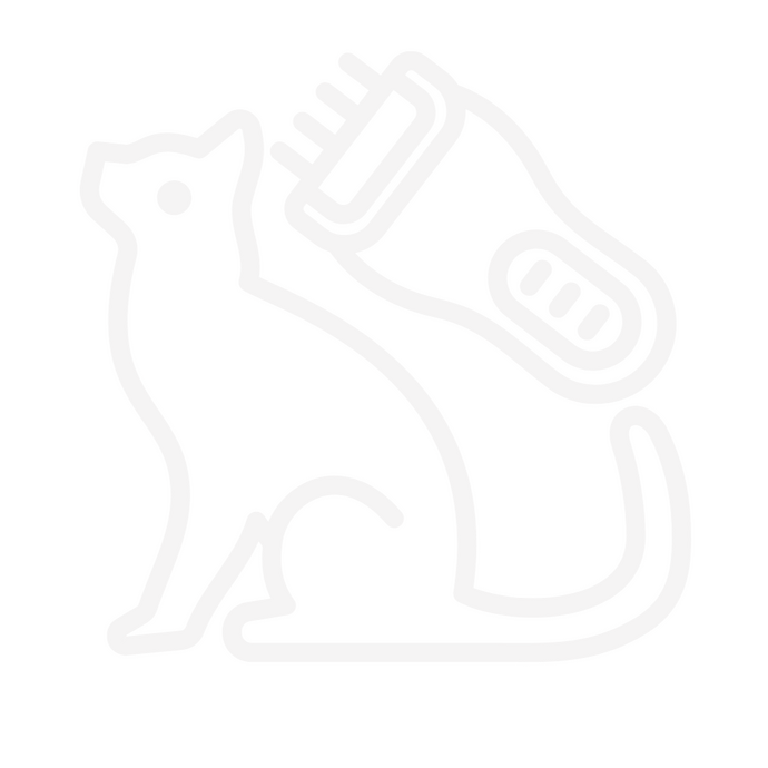 gatos recibiendo corte de pelo